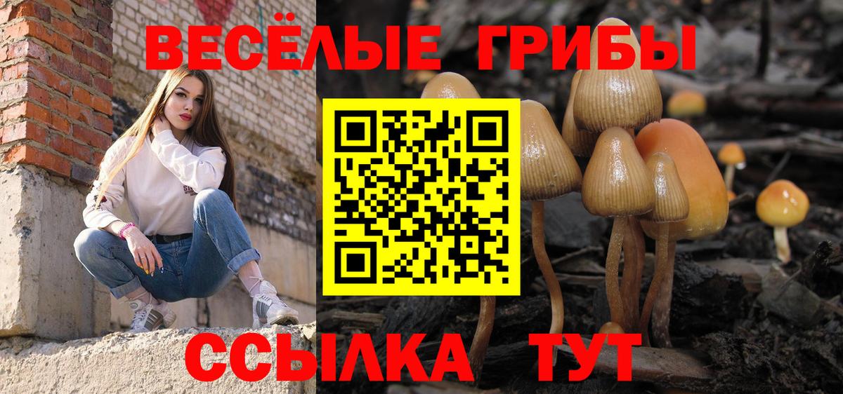 Галлюциногенные грибы MAGIC MUSHROOMS Полысаево