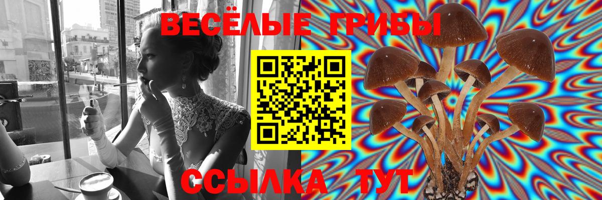 Alpha PVP Полысаево